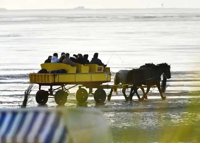 Am Sahlenburger Strand AS05